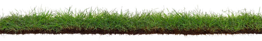 What’s in it for turf? - Soil Regeneration Australia