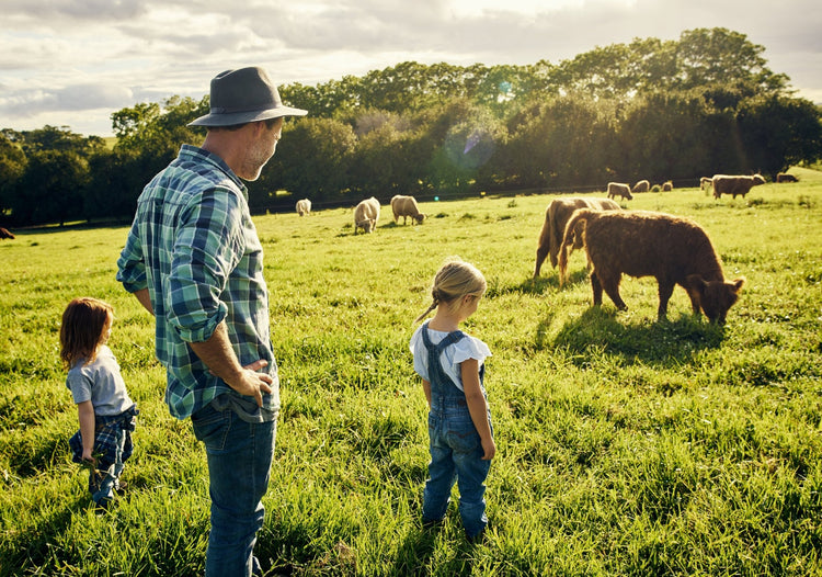 Commercial - Soil Regeneration Australia