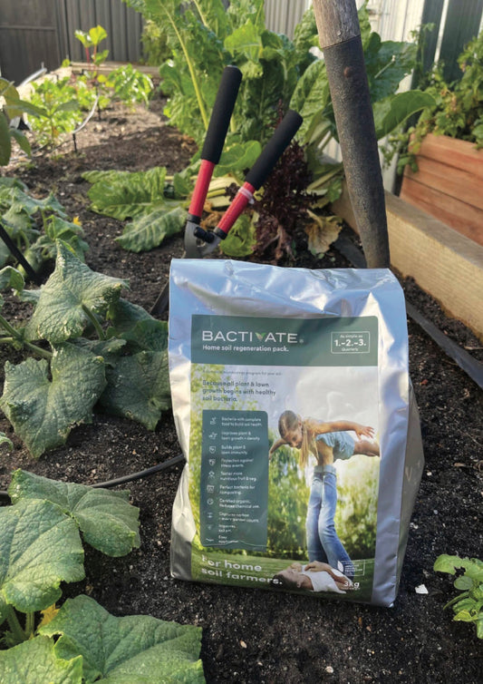 3-in-1 Home Soil Regeneration Pack
