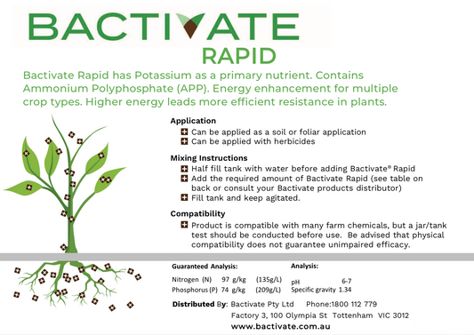 BACTIVATE RAPID